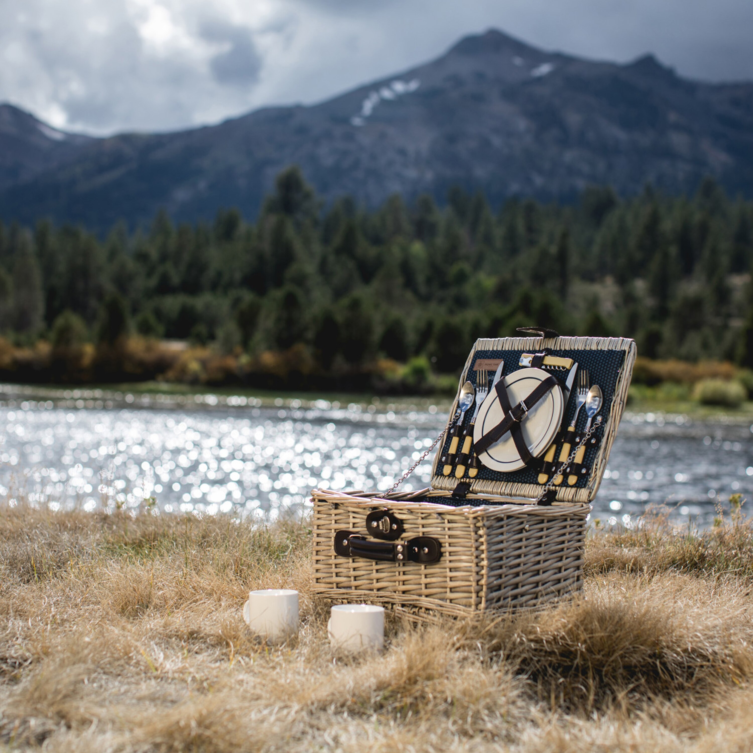 Catalina Picnic Basket, Dahlia Williams Sonoma AU